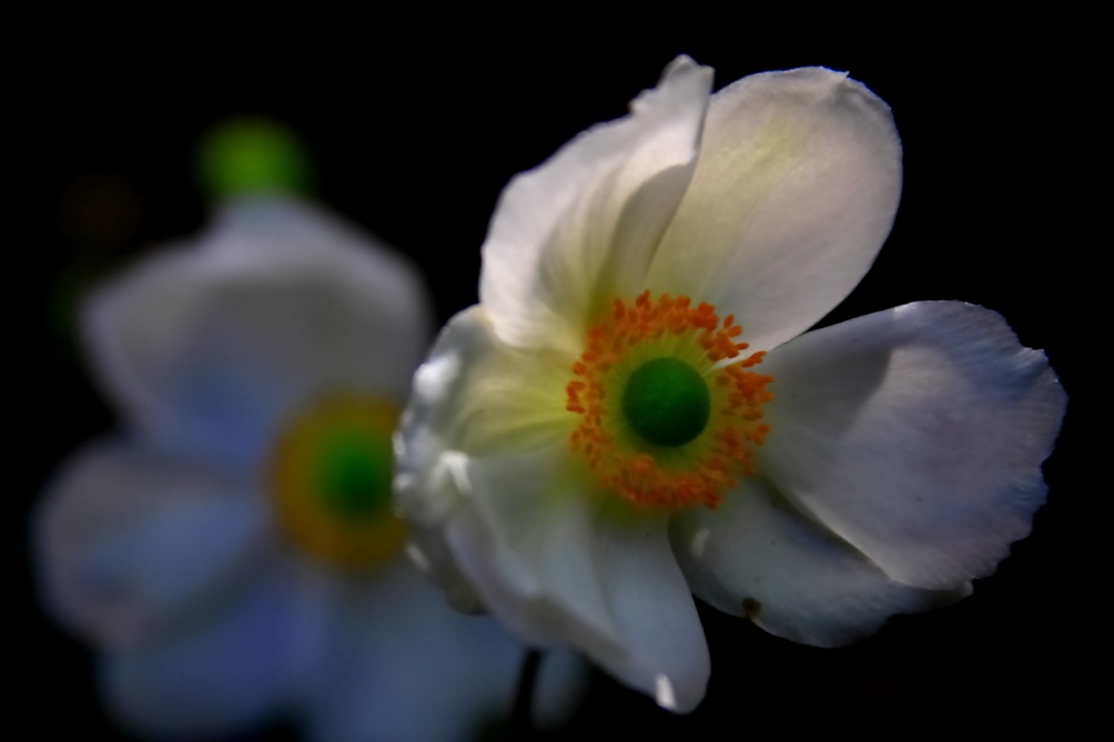 2010 10 13 IMG 11921